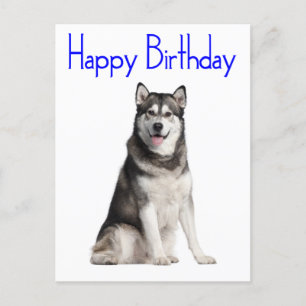 Cartão Postal Feliz Aniversário do Alaskan Malamute Puppy Dog Ca