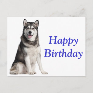 Cartão Postal Feliz Aniversário do Alaskan Malamute Puppy Dog Ca