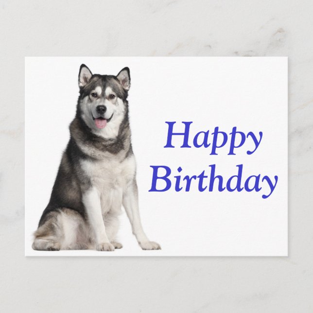 Cartão Postal Feliz Aniversário do Alaskan Malamute Puppy Dog Ca (Frente)