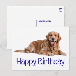 Cartão Postal Feliz Aniversário do Cachorro Feliz do Retriever d