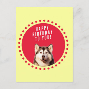 Cartão Postal Feliz Aniversário do Cachorro Siberiano