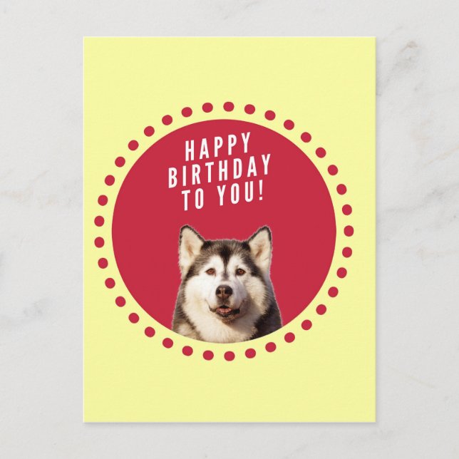Cartão Postal Feliz Aniversário do Cachorro Siberiano (Frente)