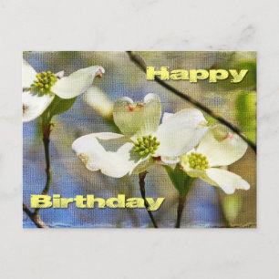 Cartão Postal Feliz aniversário - Dogwood Blossoms