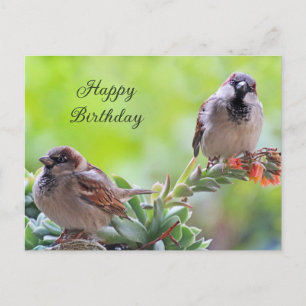 Cartão Postal Feliz Aniversário Dois Passarinhos Fofos