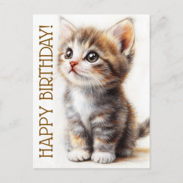 Cartão Postal Feliz Aniversário, Dona dos Gatos, Amante de Gatin
