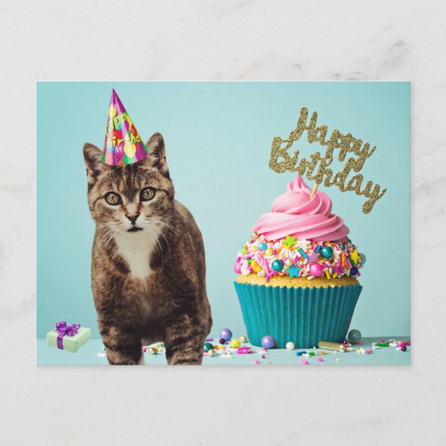Cartão Postal Feliz Aniversário Engraçado Gato com Cupcake (Frente)