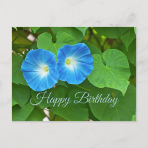 Cartão Postal Feliz Aniversário Flores de Ipoméia Azul
