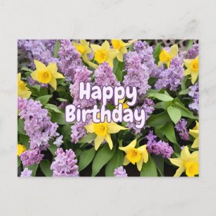 Cartão Postal Feliz Aniversário Flores Lilases e Daffodils Amare