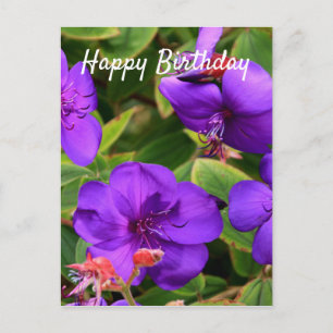 Cartão Postal Feliz aniversário: Flores Roxas Tibouchina