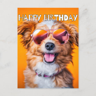 Cartão Postal Feliz Aniversário Fofa Festa Animal