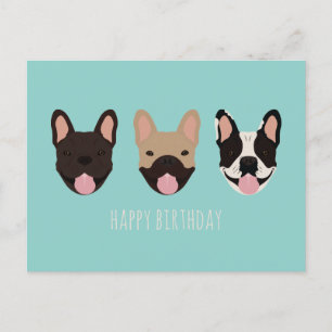 Cartão Postal Feliz Aniversário, Francês Bulldog Teal