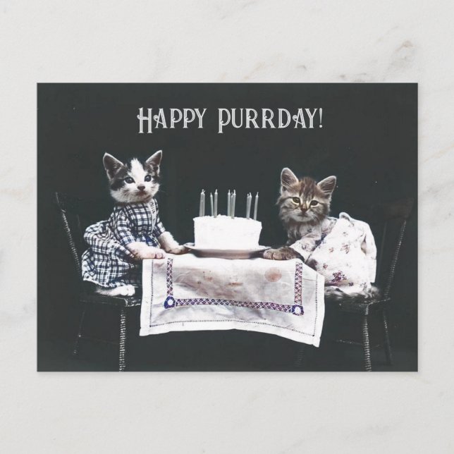 Cartão Postal Feliz aniversário gatinhos fofos Vintage (Frente)