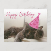 feliz aniversário, gato engraçado e bonito dormind