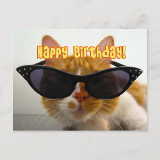 Cartão Postal Feliz Aniversário - Gato Legal de Óculos de Sol Po