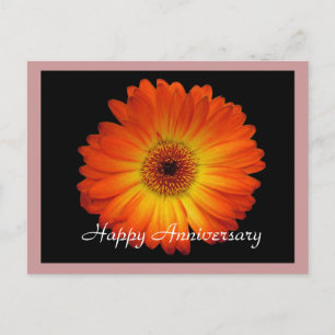 Cartão Postal Feliz aniversário gerbera margarida laranja