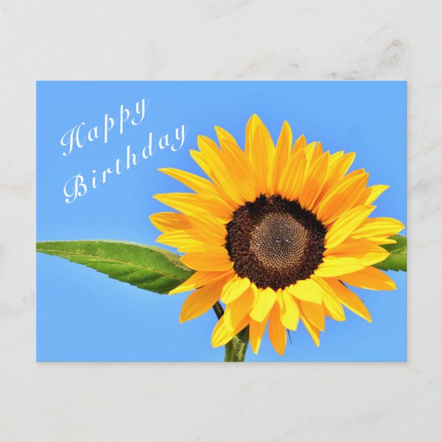 Cartão Postal Feliz aniversário - Girassol Amarelo no céu azul (Frente)