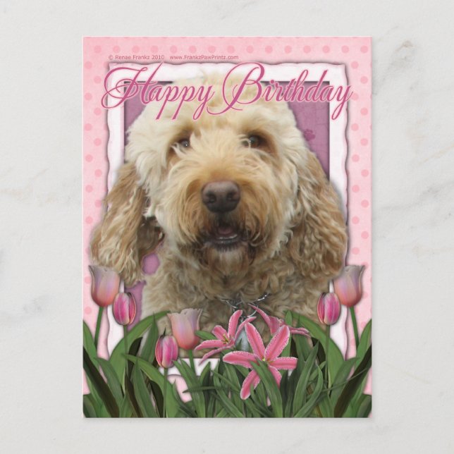 Cartão Postal Feliz aniversário - Goldendoodle (Frente)