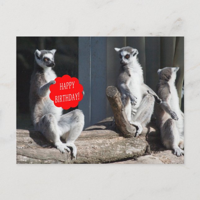 Cartão Postal Feliz Aniversário Katta (Frente)