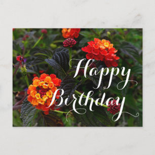 Cartão Postal Feliz Aniversário Laranja Vermelho Lantana Trepade