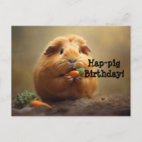 Feliz aniversário leitão!