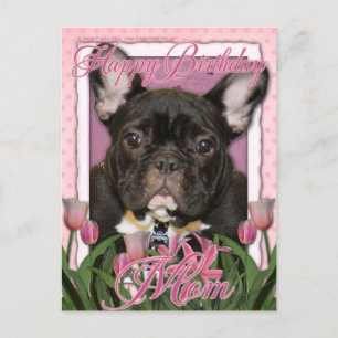Cartão Postal Feliz Aniversário Mãe - Cachorro Francês - Teal