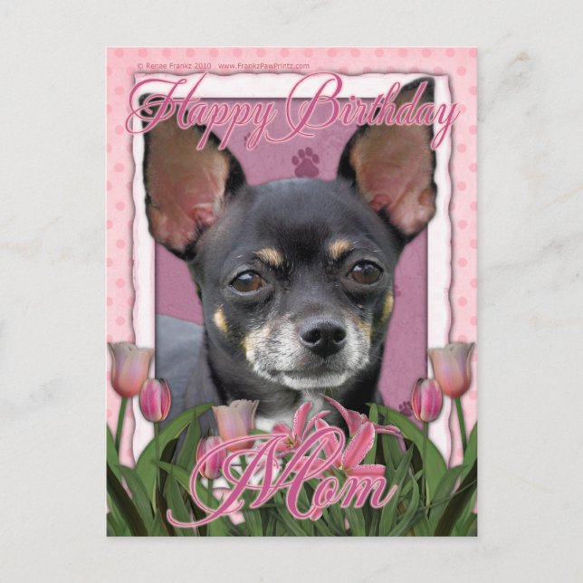Cartão Postal Feliz aniversário Mãe - Chihuahua - Isabella (Frente)