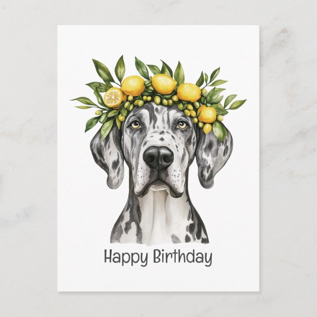 Cartão Postal Feliz Aniversário Merle Dogue Alemão Coroa de Limã (Frente)