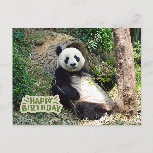 Cartão Postal Feliz Aniversário Panda Gigante  (Frente)
