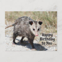 Feliz Aniversário para Você Gambá Fofo Andando