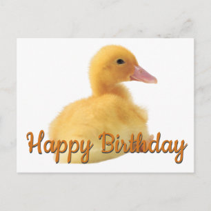 Cartão Postal Feliz Aniversário Patinho