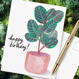 Cartão Postal Feliz Aniversário Planta Calathea de Oração Aquare
