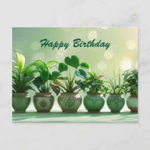 Cartão Postal Feliz Aniversário Plantas Verdes em Vasos 