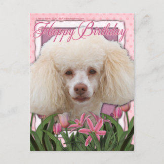 Cartão Postal Feliz aniversário - Poodle
