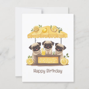 Cartão Postal Feliz Aniversário Pug Cães Loja de Limonada