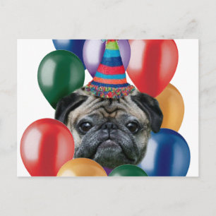 Cartão Postal Feliz aniversário Pug dog