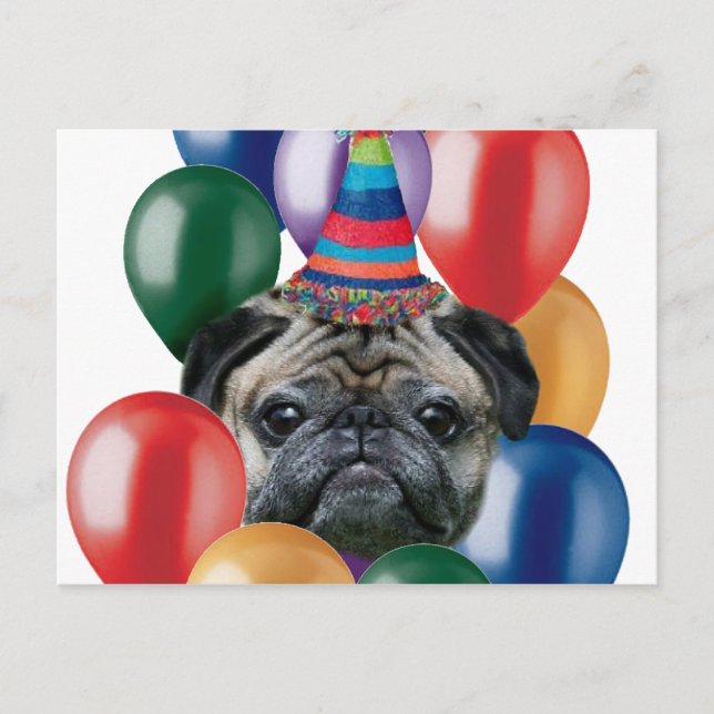 Cartão Postal Feliz aniversário Pug dog (Frente)