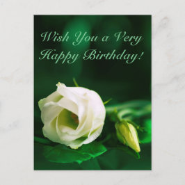 Cartão Postal Feliz aniversário, rosa branca, verde