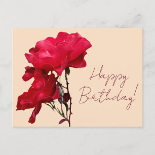 Cartão Postal Feliz aniversário rosas vermelhas flores boho flor