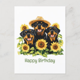 Cartão Postal Feliz Aniversário Rottweiler Cães Girassóis