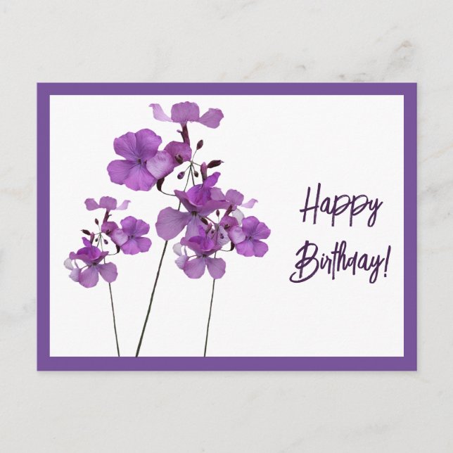 Cartão Postal Feliz aniversário, roxo, flores silvestres escoces (Frente)
