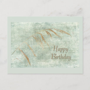Cartão Postal Feliz Aniversário Saudação Carteira