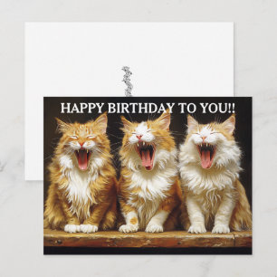 Cartão Postal Feliz Aniversário Três Gatos Cantores Ruivos  