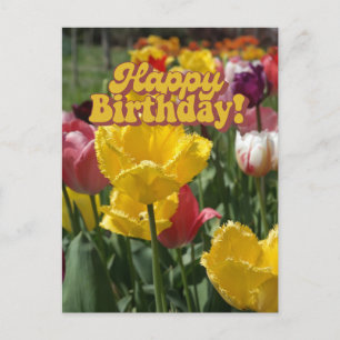 Cartão Postal Feliz Aniversário Tulipas Florais Amarelas e Rosas
