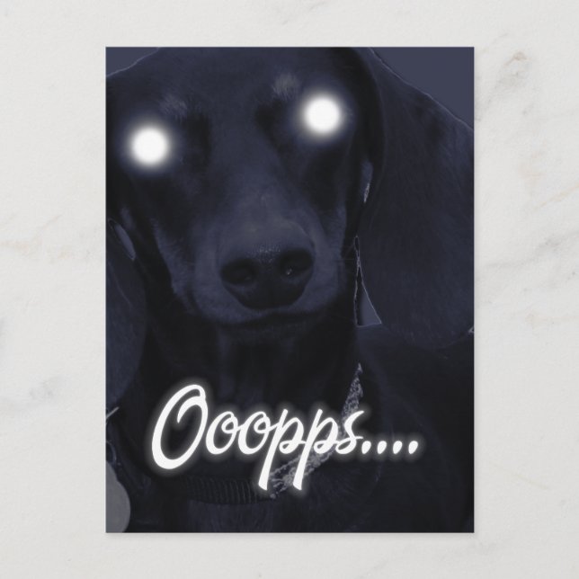 Cartão Postal Feliz Aniversário - Velas de Truque - Dachshund (Frente)