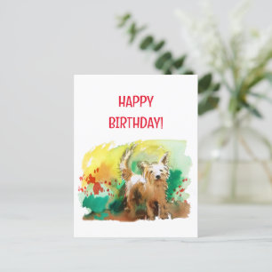 Cartão Postal Feliz aniversário! West highland terrier!