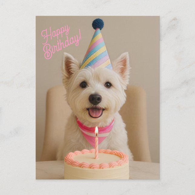 Cartão Postal Feliz Aniversário Westie Aniversário (Frente)