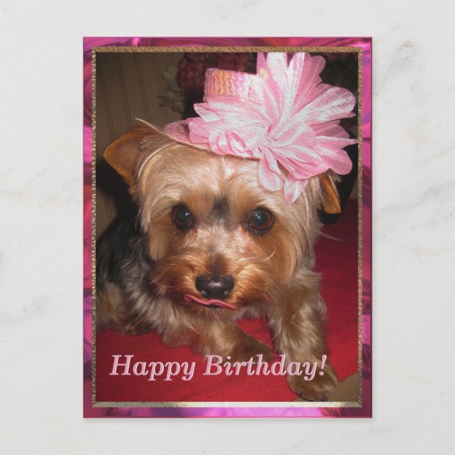 Cartão Postal Feliz aniversário Yorkie (Frente)