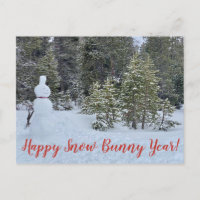Feliz Ano do Coelho de Neve!