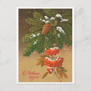 Cartão Postal Feliz Ano Novo!