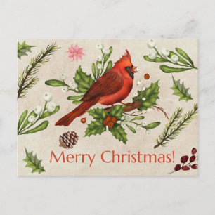 Cartão Postal Feliz Cardeal Vermelho de Natal